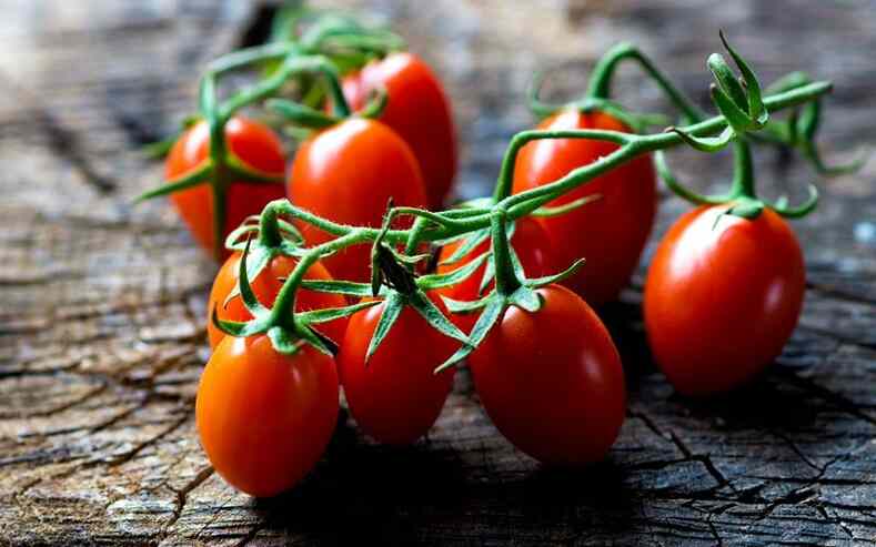 Выведены антихолестериновые томаты